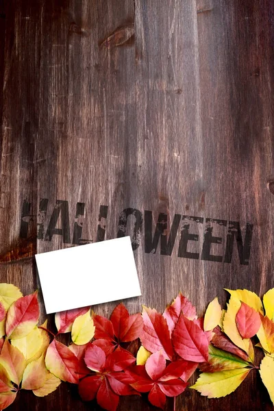 Halloween Konzept Herbst Hintergrund Mit Blättern Auf Alten Wäldern — Stockfoto