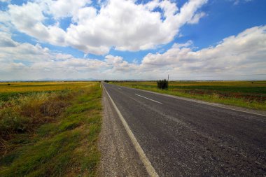 Ülke Yolu