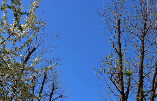 Coleção primavera 2018 011 — Fotografia de Stock