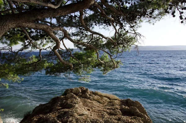 Sunny Croatia Brela 