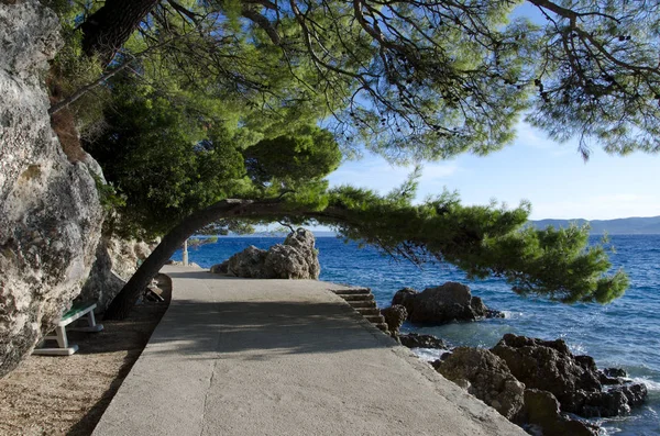 Sunny Croatia Brela 