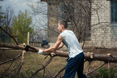 Düşen bir ağacın dallarını baltalı bir adam kesiyor.