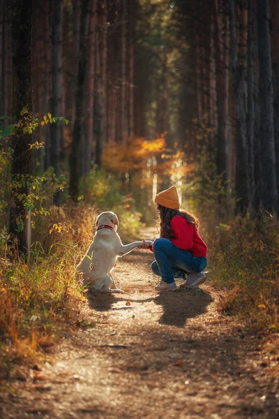 Sonbahar ormanında köpeği olan bir kız.