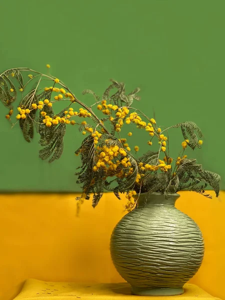 Sarı-yeşil arka planda yuvarlak yeşil bir demlikte mimoza buketi.