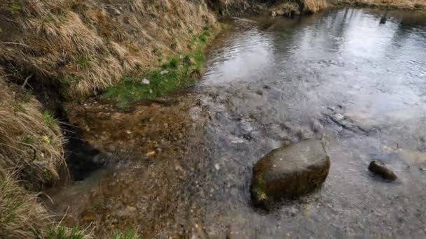 Fonte natural de água limpa — Vídeo de Stock