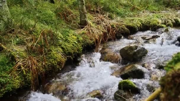 Fluxos de primavera nas montanhas — Vídeo de Stock