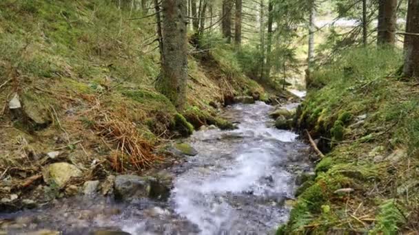 Весенние реки в горах — стоковое видео