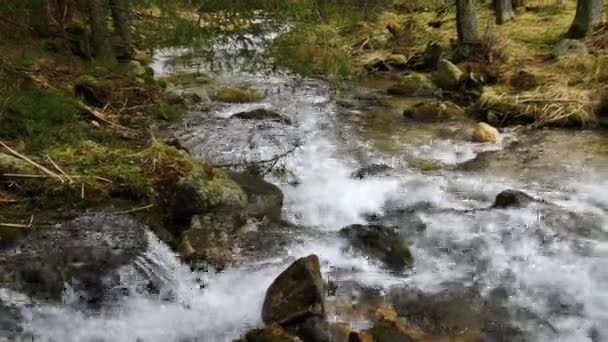 山区的春天溪流 — 图库视频影像