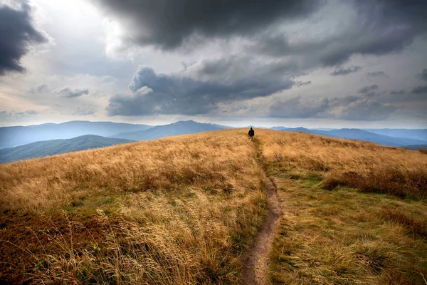Yüksek dağ çayırları turistlere