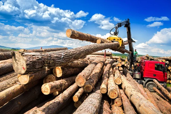 Ahşap araba yükleme