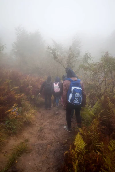 Turistas na trilha da montanha na névoa — Fotografia de Stock