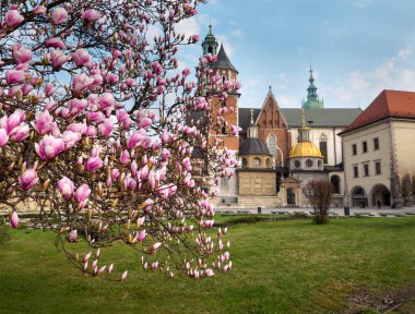 Krakow görünümü bahar Wawel Kalesi