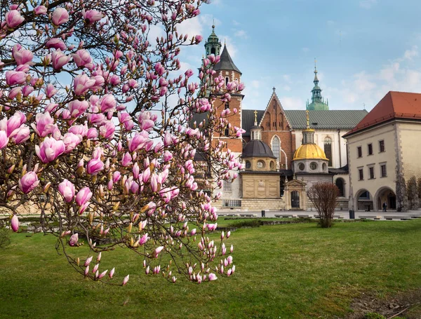 A Wawel-kastély tavasszal Krakkó megtekintése — Stock Fotó