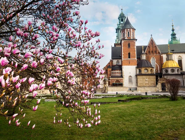 Krakov pohled z hradu Wawel na jaře — Stock fotografie