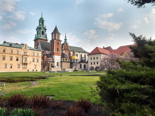 Kraków Se av Wawel slott våren — Stockfoto