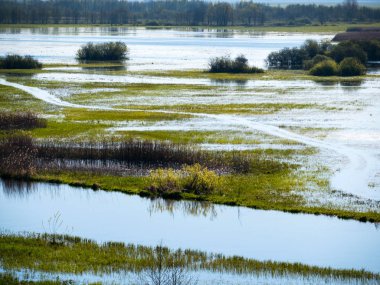 Spillways Biebrza üzerinde