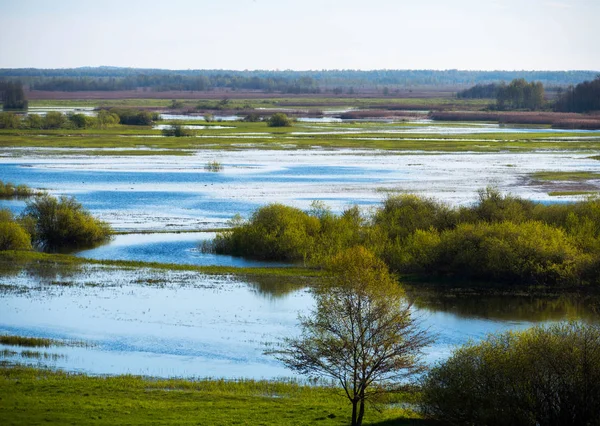 Spillways Biebrza üzerinde
