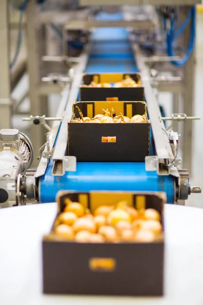 Makine meyve ve sebze toptan