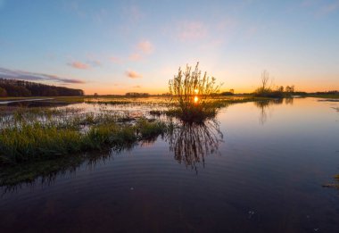 Biebrza Nehri'nde gündoğumu
