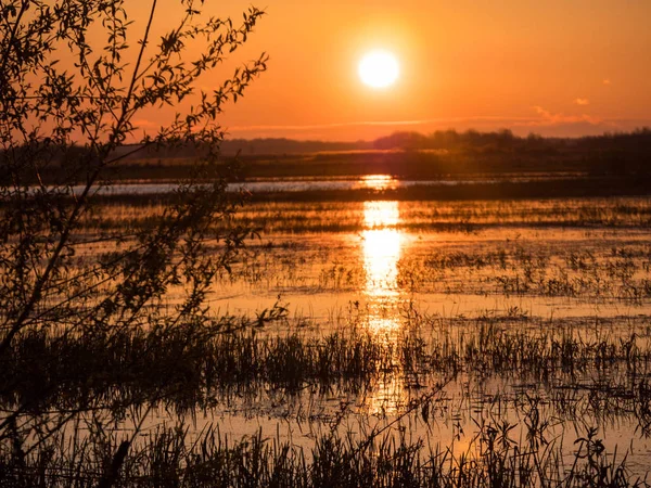 Biebrza Nehri'nde gündoğumu