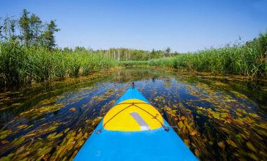 Kayık Black River Hacza üzerinde