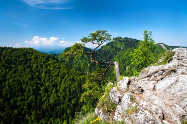 Panorama adlı Dunajec atılım