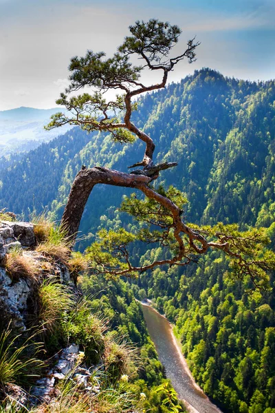 Panorama at the Dunajec breakthrough — Stock Photo, Image