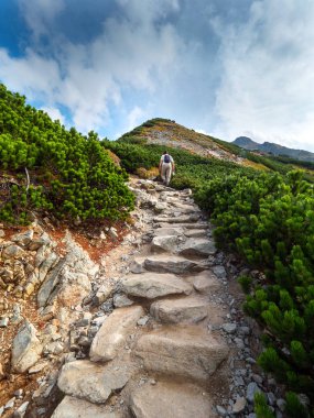 Dağlar turistlerin yaz panoraması