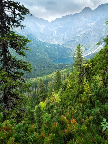 Panorama de vistas a la montaña de Tatras en verano —  Fotos de Stock