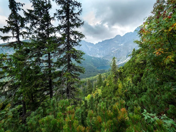 Panorama z widokiem na góry Tatry w lecie — Zdjęcie stockowe