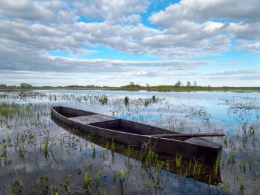 Bahar seller Biebrza Nehri