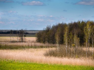 Biebrza Nehri Panoraması