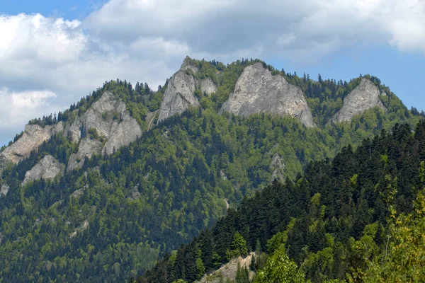 Polonia - Paisaje de montaña Pieniny — Foto de Stock