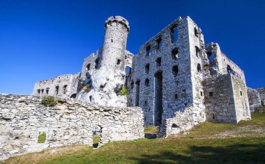 Jura Krakowsko Czestochowa Ogrodzieniec kale kalıntıları
