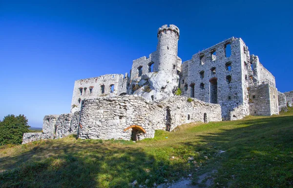 Jura Krakowsko Czestochowa Ogrodzieniec kale kalıntıları