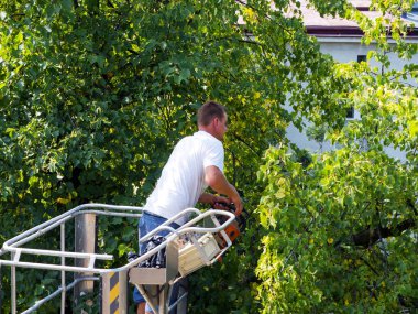 Bahçelerde ağaçların dalları ile ayrıcalık kullanımını düzeltme