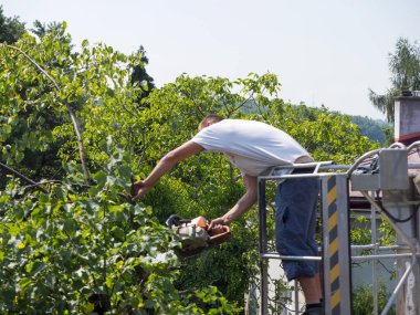Bahçelerde ağaçların dalları ile ayrıcalık kullanımını düzeltme
