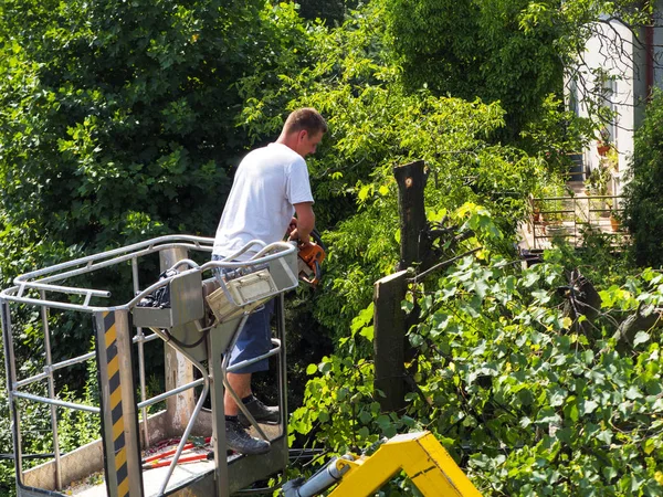 Corte os galhos das árvores nos jardins com o uso de elevação — Fotografia de Stock