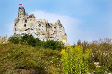 Ortaçağ surlarının kalesinin Mirow, Polonya