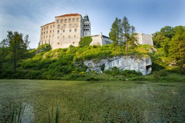 Pieskowa Skala vadisinde pitoresk kaleye