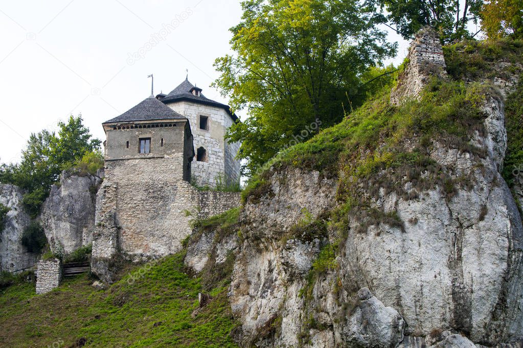 The ruins of a medieval castle in Ojcw over the valley of the Prdnik torrent