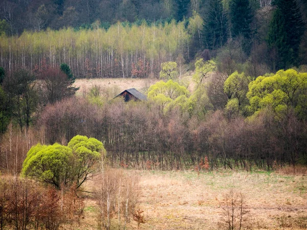 Mosaico de primavera de árvores verdes e campos — Fotografia de Stock