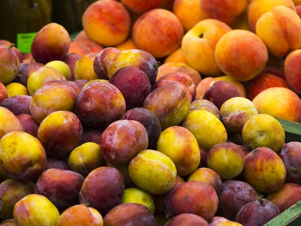 Plum apricots on a commercial stall Royalty Free Stock Images
