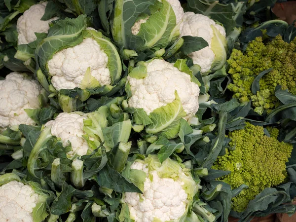 Bir Pazar durak üzerinde uzun boylu karnabahar