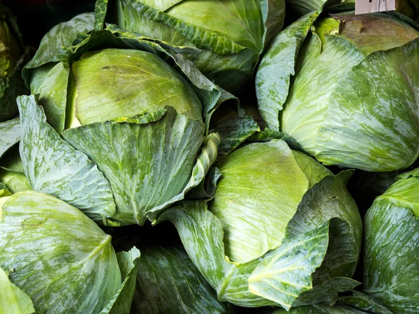 Bir Pazar durak üzerinde uzun boylu lahana