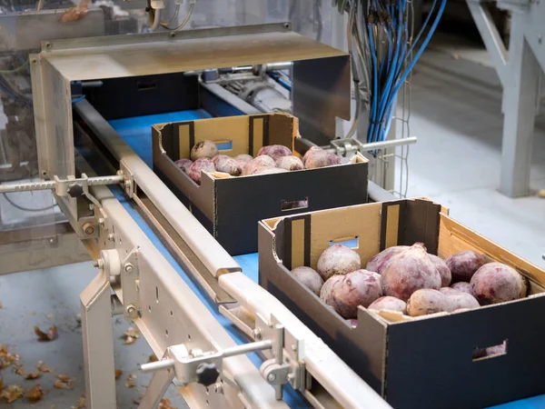 Sıralama ve toptan sebze ambalaj