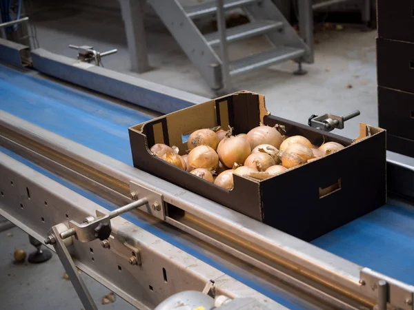 Sıralama ve toptan sebze ambalaj