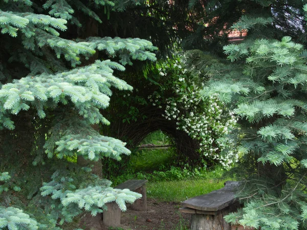 Lugares Encantadores Antigo Jardim Dia Primavera Com Arbustos Floridos Bancos — Fotografia de Stock