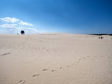 Hareket eden kum tepeleri ile Sowiski Ulusal Parkı Polonya kıyılarının orta kısmında yer almaktadır.,