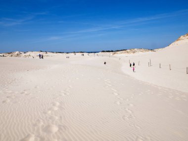 Hareket eden kum tepeleri ile Sowiski Ulusal Parkı Polonya kıyılarının orta kısmında yer almaktadır.,